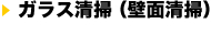 ガラス清掃(壁面清掃)